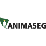 logo-animaeg