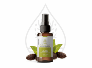 Jojoba - mokcup Oleo vegetal copiar