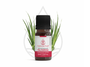 Palmarosa - mokcup Oleo essencial copiar