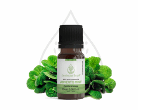 arventis mint - mokcup Oleo essencial copiar