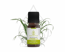 citronella - mokcup Oleo essencial copiar
