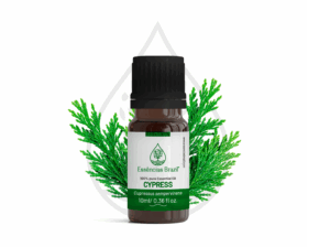 cypress - mokcup Oleo essencial copiar