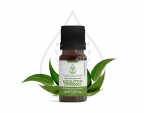 eucalyptus citriodora - mokcup Oleo essencial copiar