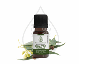 eucalyptus globulus - mokcup Oleo essencial copiar