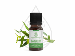 eucalyptus staigeriana - mokcup Oleo essencial copiar