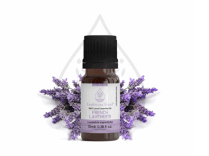 french lavender - mokcup Oleo essencial copiar