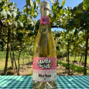 imgi_5_IMG_6060-comprimido-300x300