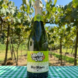 imgi_6_IMG_6056-comprimido-300x300