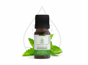 peppermint - mokcup Oleo essencial copiar