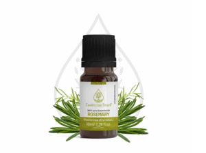 rosemary - mokcup Oleo essencial copiar