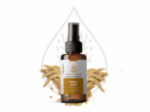 wheat germ - mokcup Oleo vegetal copiar